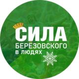 БЕРЁЗОВСКИЙ. СИЛА_БГО