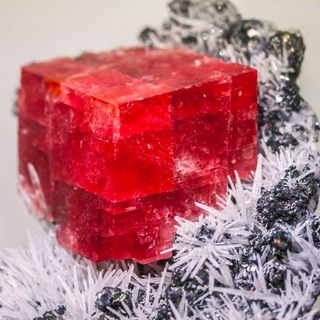 ДНЕВНИК ГЕОЛОГА