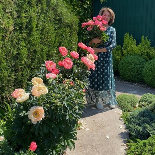 САДОВЫЕ ЦВЕТЫ С ИРИНОЙ ГУЩИНОЙ