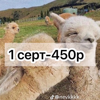 СЕРТФИКАТЫ SKARLETT AND EASIGN || СКАРЛЕТТ И ЕСИГН