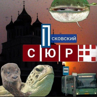 ПСКОВСКИЙ СЮР