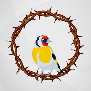 ТЕРНИСТЫЙ ПУТЬ