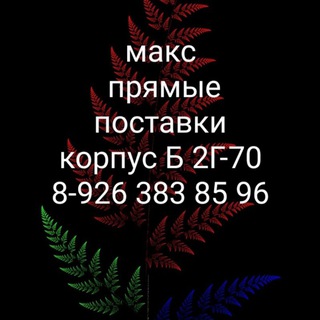САДОВОД КОРПУС Б 2Г-70 ЖЕНСКА СТИЛЬНАЯ ОДЕЖДА 