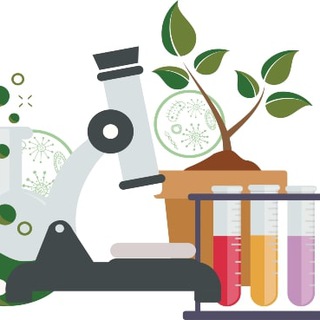 MOLE_GARDEN (ГИДРОПОНИКА, ГИДРА)