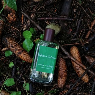 ПАРФЛЮБИТЕЛЬ/ПОТРЕБИТЕЛЬ