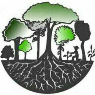 PERMACULTURA E AGROFLORESTA