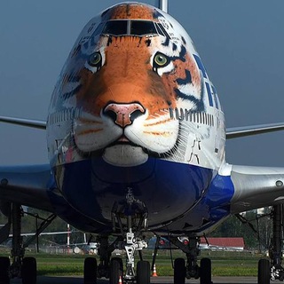 МИНУТКА ТРАНСПОРТНОГО ИСКУССТВА