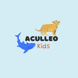 ACULLEO ZARA|NEXT|IHERB|HM