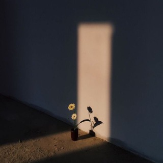 СВОЯ КОМНАТА. ПЕТЕРБУРГ,КНИГИ,ИСКУССТВО