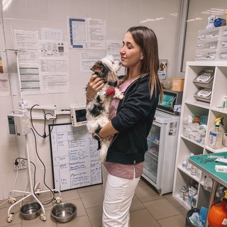 ВЕТЕРИНАРНЫЙ ВРАЧ АНГЕЛИНА ( VETDOCTOR.KRD)