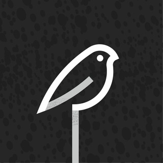 СТУДИЯ СНЕГИРИ | КУРСЫ ДЛЯ СЦЕНАРИСТОВ, ПИСАТЕЛЕЙ, РЕЖИССЕРОВ