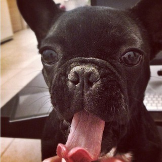 СУЧКИНА МАТЬ