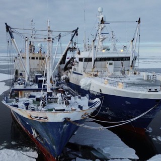 ТИХРЫБКОМ | МАГАДАНСКИЕ МОРЕПРОДУКТЫ