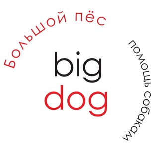 БЛАГОТВОРИТЕЛЬНАЯ ОРГАНИЗАЦИЯ BIGDOG_EKB