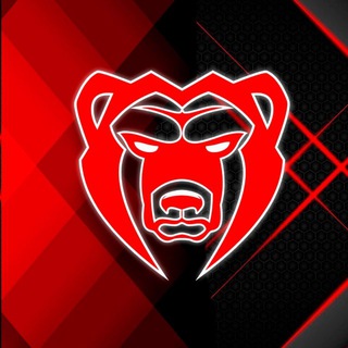 ХОККЕЙНЫЙ КЛУБ «МОЛОТ»