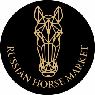 RUSSIAN HORSE MARKET | ПРОДАЖА ЛОШАДЕЙ