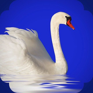 РОДНИК  | О РОДИНЕ