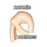 NORMIE MEMES