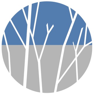 ИСКУССТВО БЫСТРЫХ ИЗМЕНЕНИЙ.