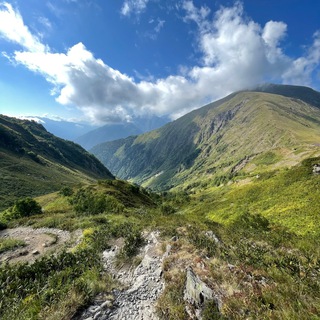 ИДЕМ ГУЛЯТЬ