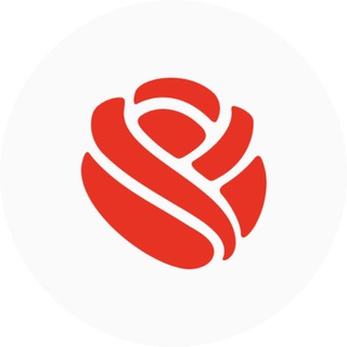 АЗАЛИЯ ДЕКОР