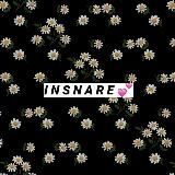 INSNARE 