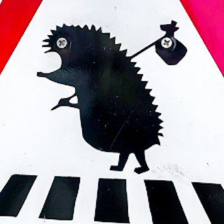 КАНАЛ АЛЕКСЕЯ РАДЧЕНКО