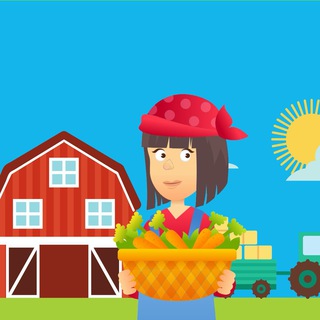 МОЙ ДАЧНЫЙ УЧАСТОК