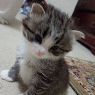 МОЯ УСТАЛОСТЬ