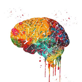 BRAIN GAMES