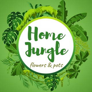 HOMEJUNGLE_UZ