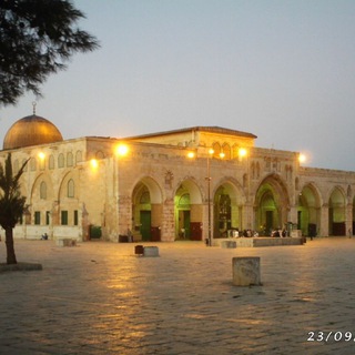 #تحدي_قراء_اليقظة⁷ | الملا عمر وطالبان وأفغانستان