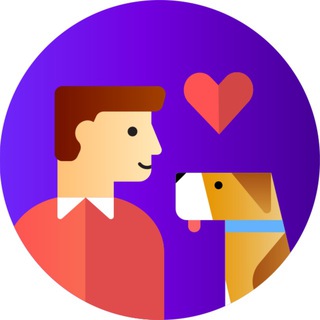 TEDDY FOOD: ПОМОЩЬ ЖИВОТНЫМ ONLINE