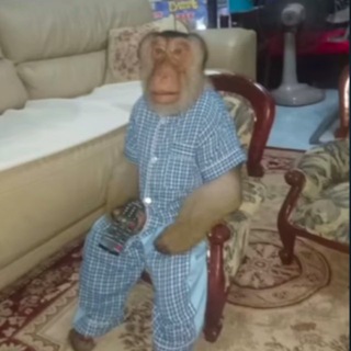 СПЕЦПРИЁМНИК