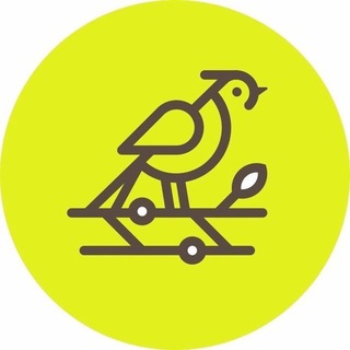 ТЕРРИТОРИЯ КОМФОРТА