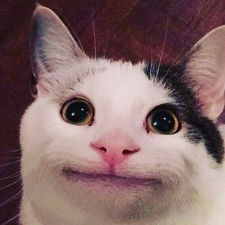 #SHORTS | МЕМЫ | СМЕШНЫЕ ВИДЕО