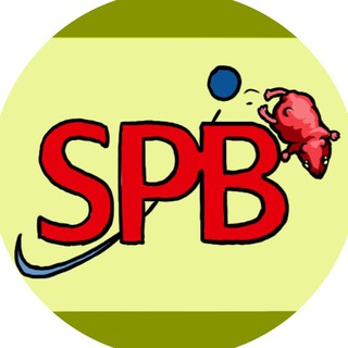 PANTINI SPBEX NEWS