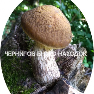 ЧЕРНИГОВ БЮРО НАХОДОК