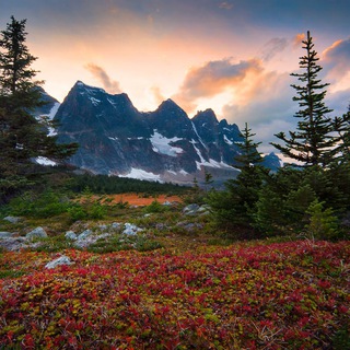 ПРИРОДА | КРАСОТЫ СО ВСЕГО МИРА