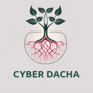CYBER DACHA