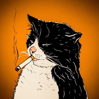 ШЕРСТЯНЫЕ ПРОКАЗНИКИ