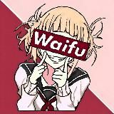  WAIFU | NEWS | ANIME