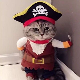 ALEXIS_PETS