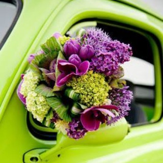 КРАСОТА ЛЮБВИ