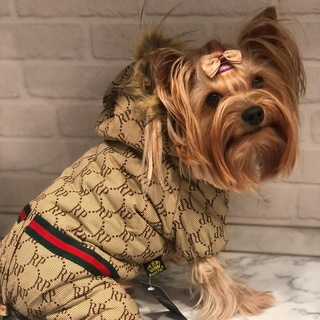 MARKUS SHOP ОДЕЖДА ДЛЯ СОБАК
