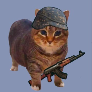 RIKKIT