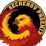  SECHENOV PHOENIX 