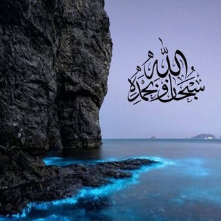  «SᴇRDSᴇ حب ЧУЖДЫХ»