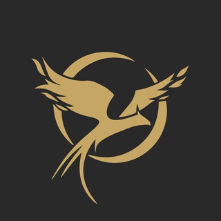 ЛПР ПЕТЕРБУРГ