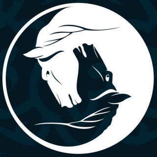 ↟ТЮРГЭН КАМ↟ ©